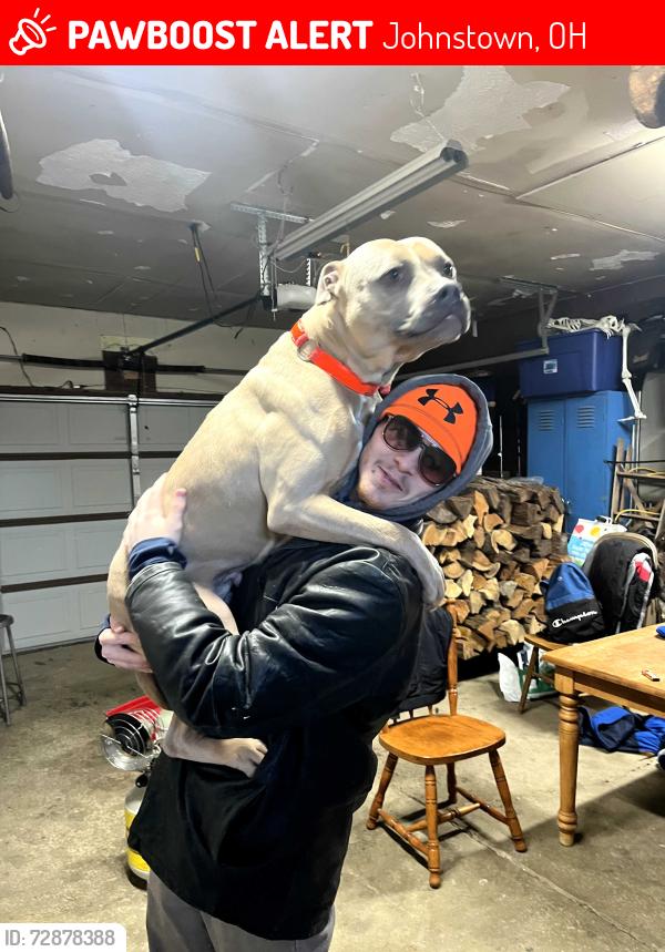 Lost Male Dog last seen Sunse6drive, Johnstown, OH 43031