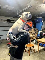 Lost Male Dog last seen Sunse6drive, Johnstown, OH 43031