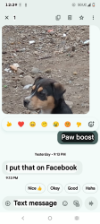 Lost Female Dog last seen Assembly ,&  Burch, Spokane, WA 99224