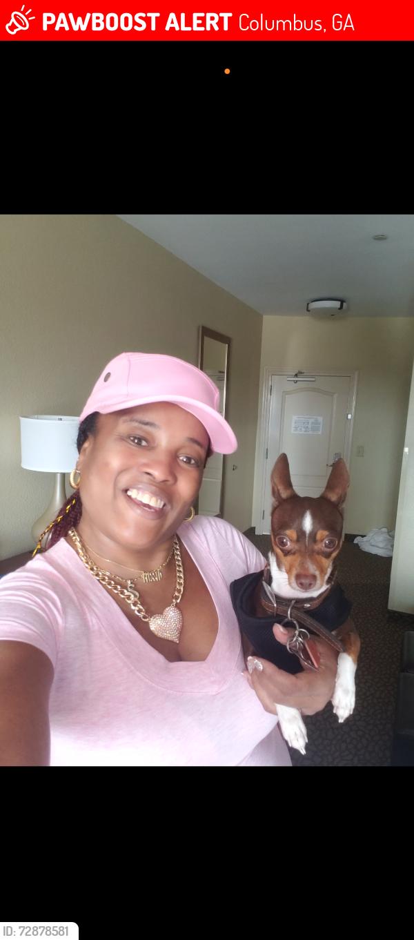 Lost Male Dog last seen River Road, Columbus, GA 31904