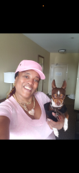 Lost Male Dog last seen River Road , Columbus, GA 31904