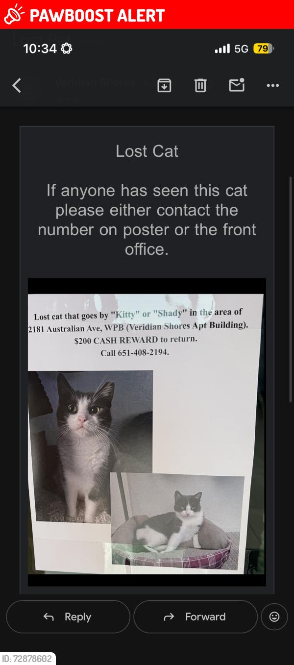 Lost Female Cat last seen Sunset park, West Palm Beach, FL 33407