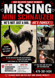 Lost Female Dog last seen Tater black, Bentonville, AR 72712