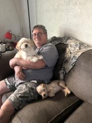 Lost Male Dog last seen Bonair drive , San Antonio, TX 78222