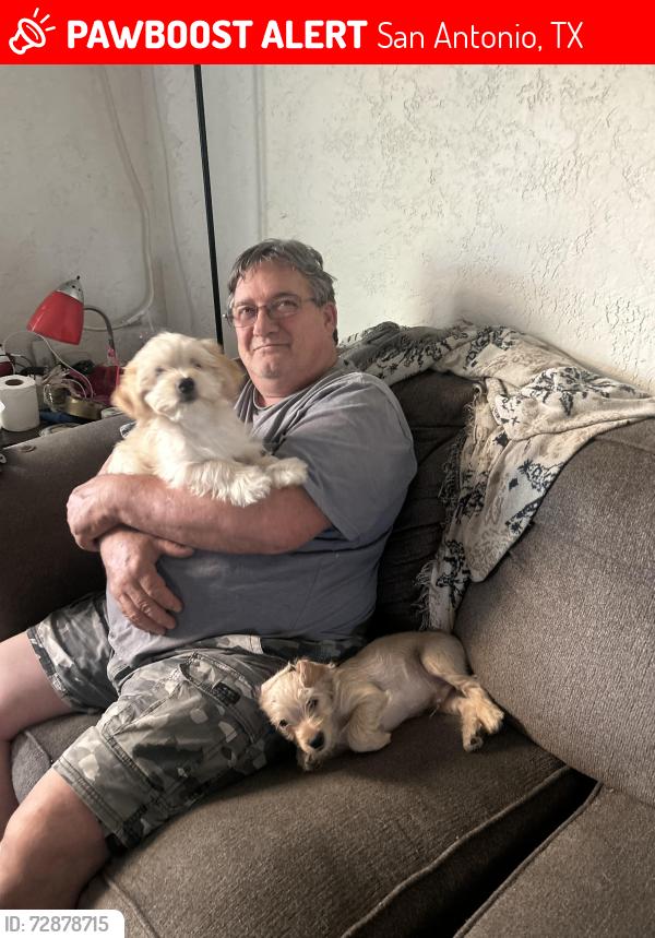 Lost Male Dog last seen Bonair drive , San Antonio, TX 78222