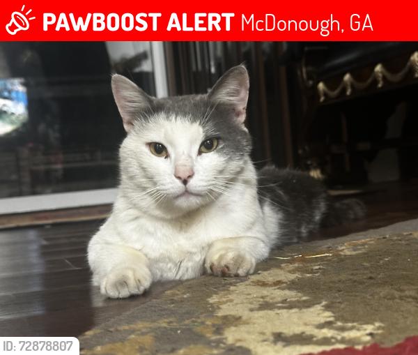 Lost Male Cat last seen racetrack road mcdonough ga, McDonough, GA 30253