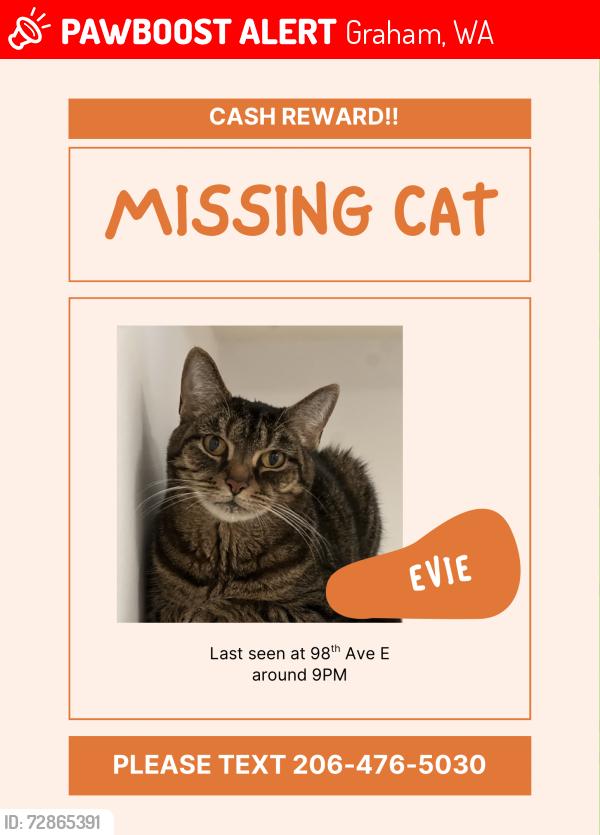Lost Female Cat last seen 98th Ave E , Graham, WA 98338