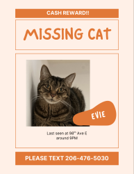 Lost Female Cat last seen 98th Ave E , Graham, WA 98338
