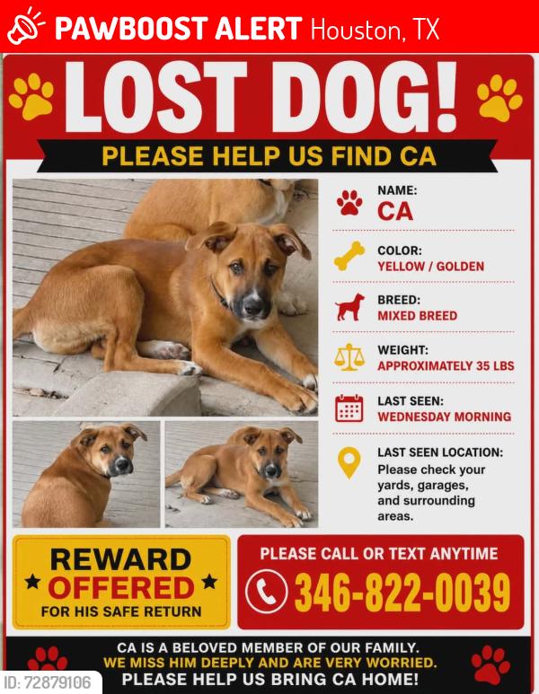 Lost Male Dog last seen Near dover st 77031, Houston, TX 77031