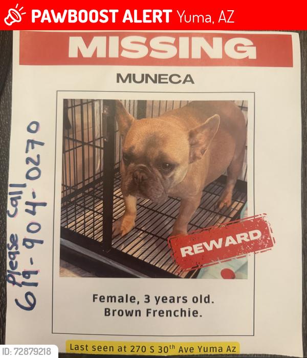 Lost Female Dog last seen Near s 30 Th ave yuma Az 85364, Yuma, AZ 85364