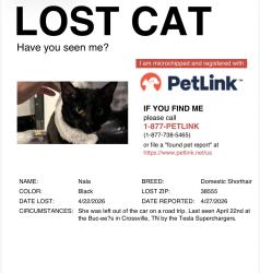 Lost Female Cat last seen Buc-ee’s , Crossville, TN 38555