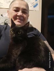 Lost Male Cat last seen Fort Churchill road and river park parkway, Dayton, NV 89403