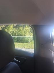 Found/Stray Male Dog last seen Kerley and McKinley , Homosassa Springs, FL 34446