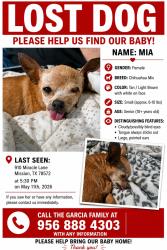 Lost Female Dog last seen Near Miracle Ln / Barnes St, Mission, TX 78572