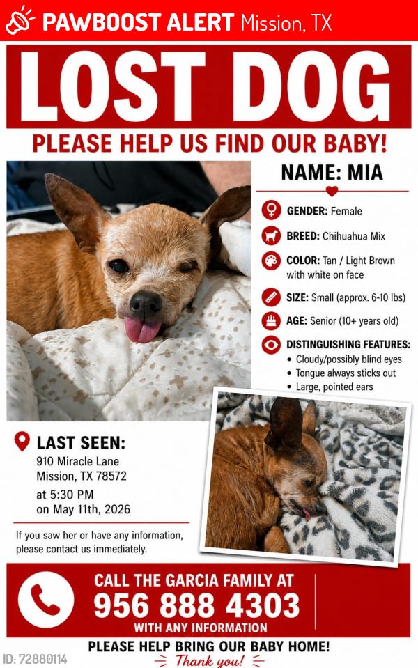 Lost Female Dog last seen Near Miracle Ln / Barnes St, Mission, TX 78572