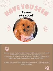 Lost Female Dog last seen 104th and community ctr dr, Northglenn, CO 80233