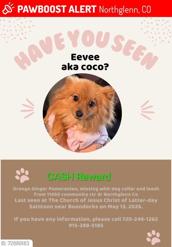 Lost Female Dog last seen 104th and community ctr dr, Northglenn, CO 80233