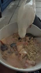 Lost Female Bird last seen Pirrone, Salida, CA 95368