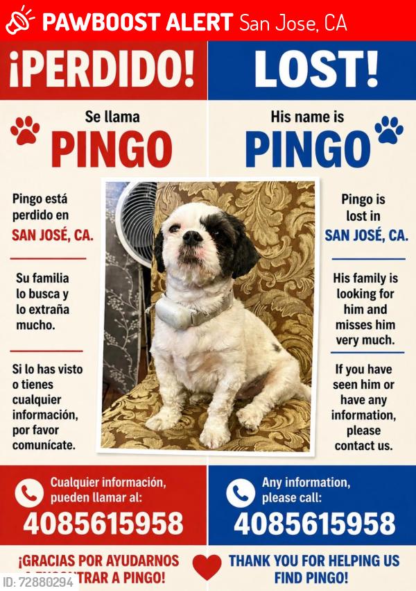 Lost Male Dog last seen Near eastsaide Dr San José cá 95127, San Jose, CA 95127