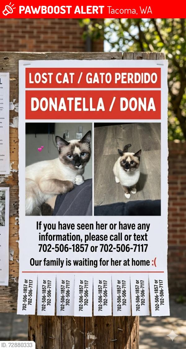 Lost Female Cat last seen Alaska, 48th street , Tacoma, WA 98408