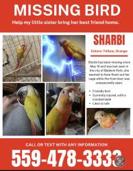 Lost Unknown Bird last seen Near Baldwin Park Blvd, Baldwin Park, CA 91706., Baldwin Park, CA 91706