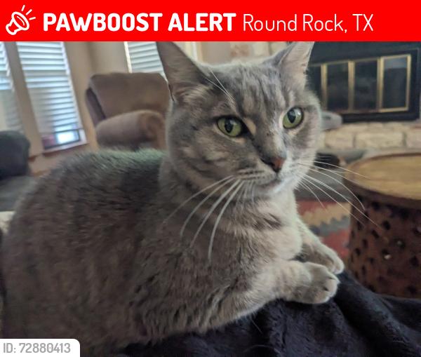Lost Female Cat last seen Near Brokenshoe Dr , Round Rock, TX 78681