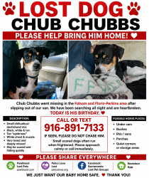 Lost Male Dog last seen Mobil , Sacramento, CA 95826