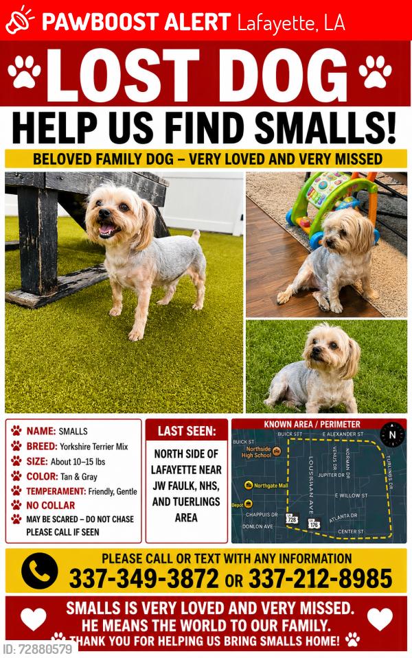 Lost Male Dog last seen Willlow st, Lafayette, LA 70501