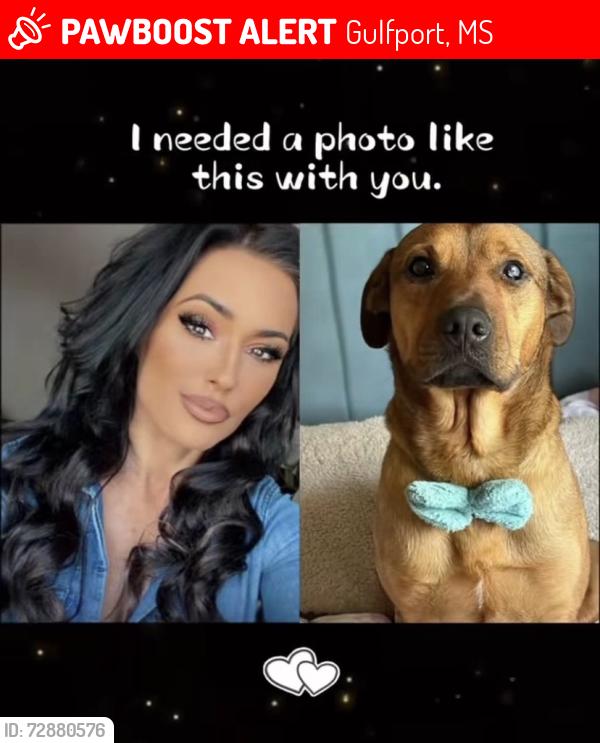 Lost Male Dog last seen Gulf ave , Gulfport, MS 39501