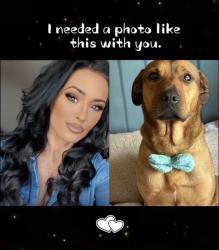 Lost Male Dog last seen Gulf ave , Gulfport, MS 39501