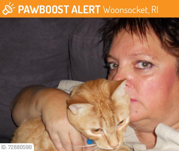 Found/Stray Male Cat last seen Pond Sts., Woonsocket, RI 02895