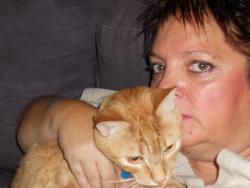 Found/Stray Male Cat last seen Pond Sts., Woonsocket, RI 02895