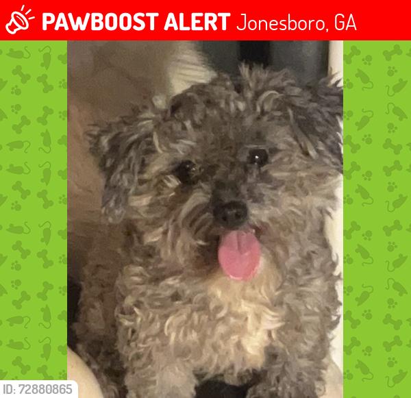 Lost Male Dog last seen last seen walking near brenda dr, Jonesboro, GA 30236