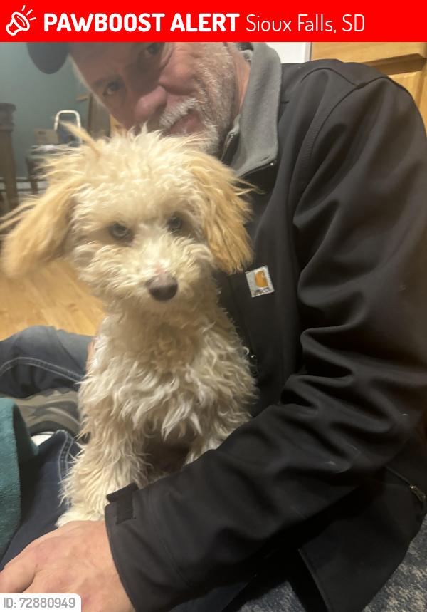 Lost Male Dog last seen Avera heart hosp , Sioux Falls, SD 57104