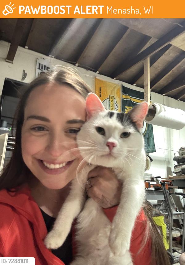 Found/Stray Male Cat last seen Between heart park and the Menasha high school, Menasha, WI 54912