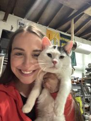 Found/Stray Male Cat last seen Between heart park and the Menasha high school, Menasha, WI 54912