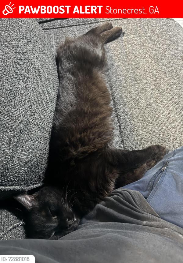 Lost Male Cat last seen La Fleur trail neighborhood , Stonecrest, GA 30038