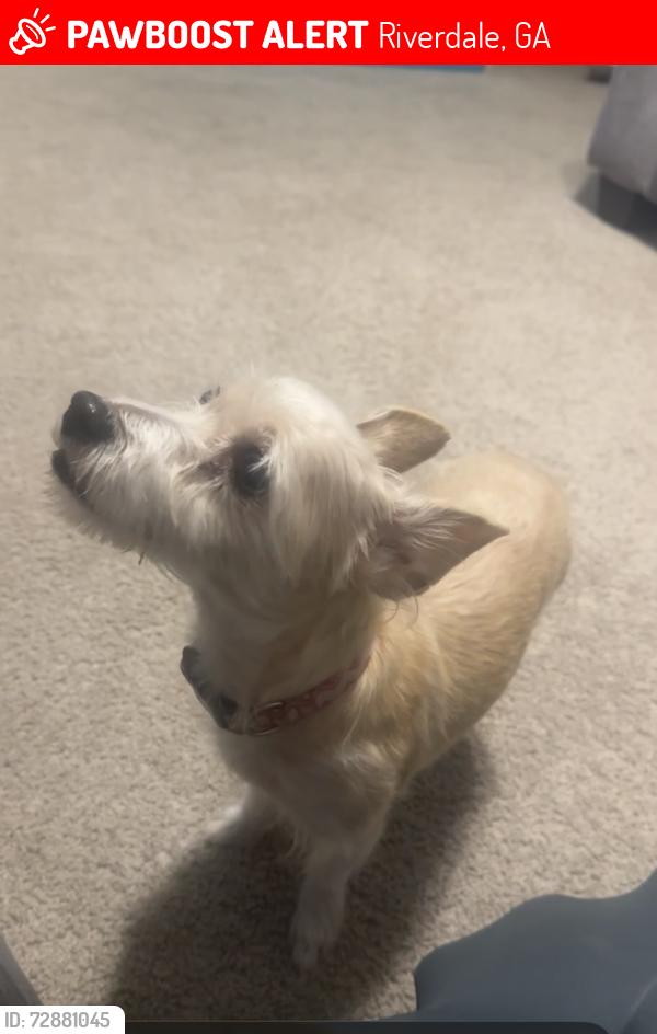 Lost Female Dog last seen Saranac ests near Pixlwy Dr, Riverdale, GA 30296