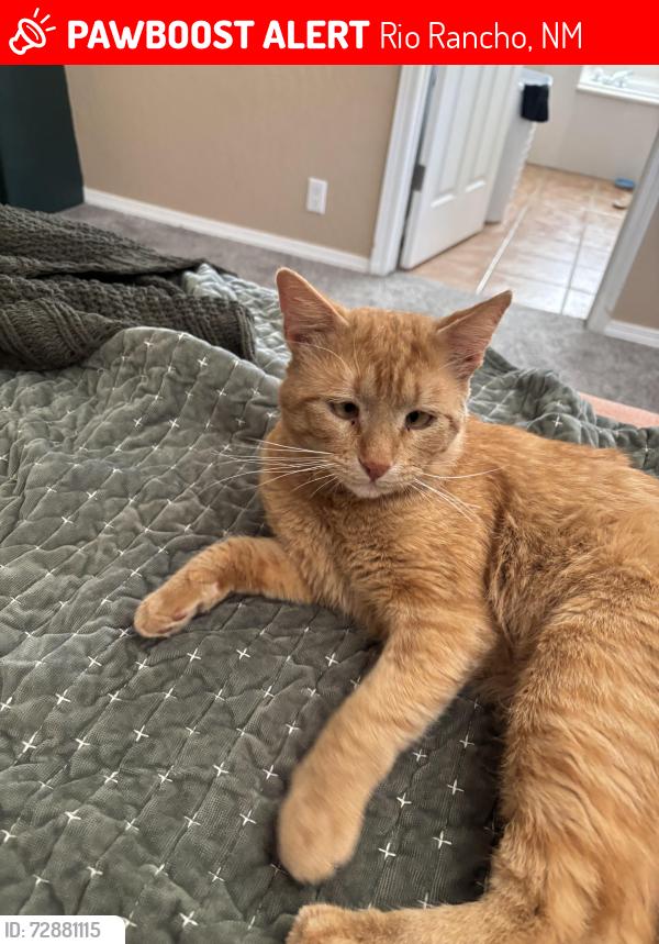 Lost Male Cat last seen Cielo Grande Dr NE & Kokopelli Dr, Rio Rancho, NM 87144