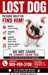 Lost Male Dog last seen E heather st , Rialto, CA 92376