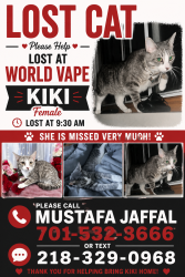 Reunited Female Cat last seen Near 13Th Ave s Fargo suite 107, Fargo, ND 58103