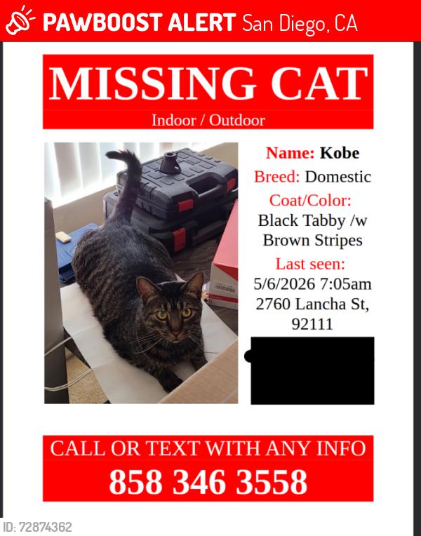 Lost Female Cat last seen Near Ladrillo St, 2760 Lancha St San Diego, CA 92111, San Diego, CA 92111