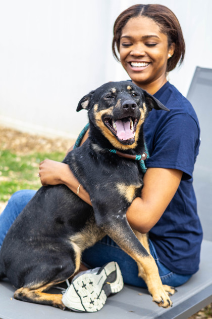 Shelter Stray Female Dog last seen , 30340, GA, Atlanta, GA 30341