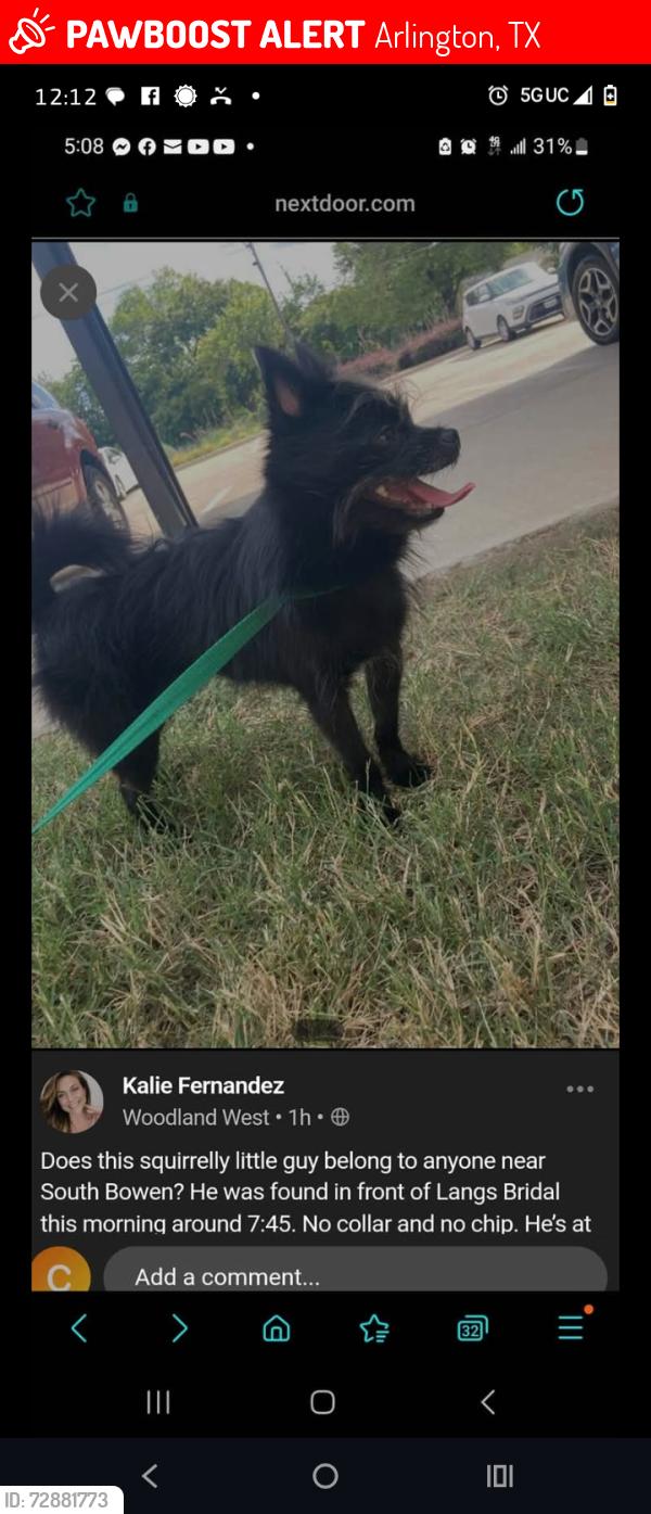 Lost Male Dog last seen Timber view ponderosa , Arlington, TX 76014