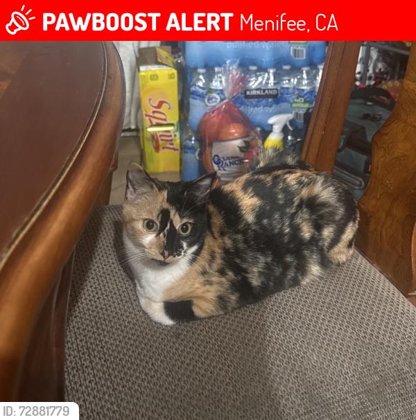 Lost Female Cat last seen worthy dr, sun city, Menifee, CA 92585