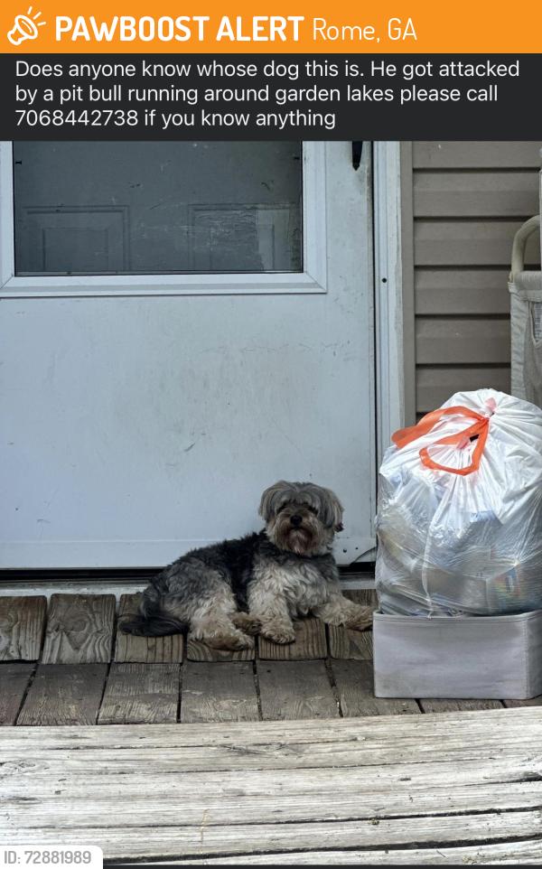 Found/Stray Male Dog last seen Simpson dr, Rome, GA 30165