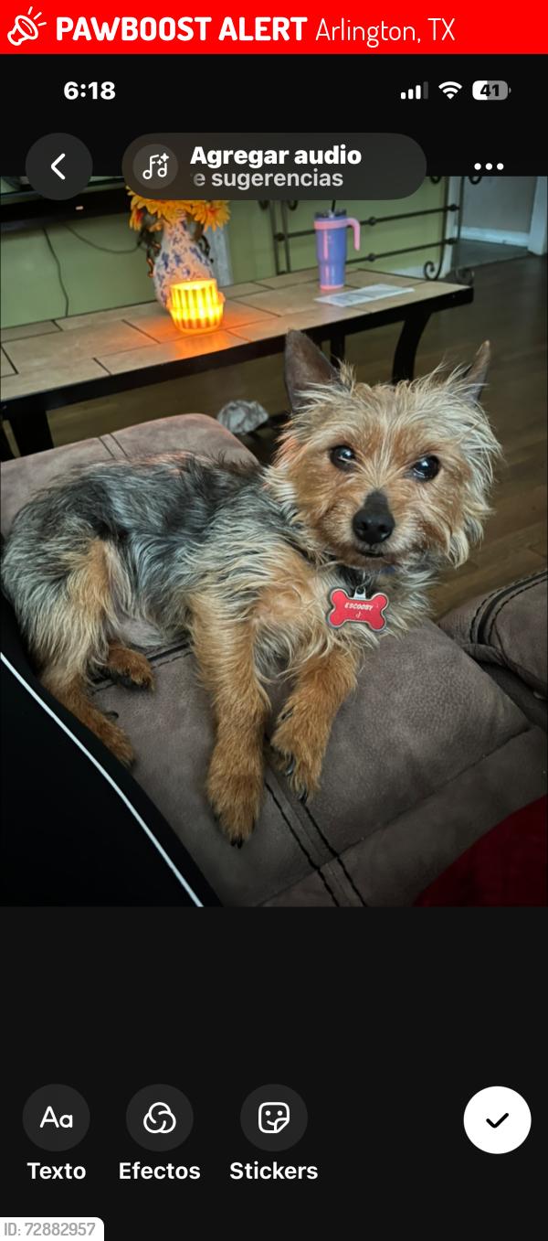 Lost Male Dog last seen Near circle dr Arlington TX 76010, Arlington, TX 76010