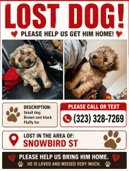 Lost Male Dog last seen Springdale Ar, Springdale, AR 72764