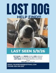 Lost Male Dog last seen Woodland Hills, Humble, TX 77396