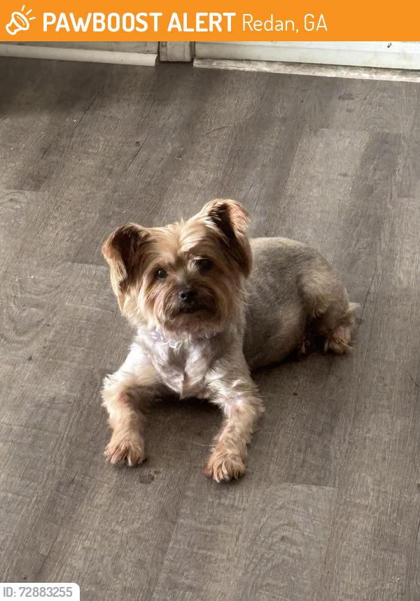 Found/Stray Male Dog last seen Singer way and Young rd., Redan, GA 30058
